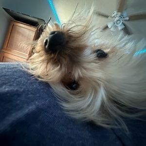 Meet your Posher, Jace